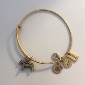Alex and Ani bracelet